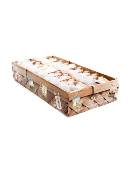 Mini Resinas Coco Cupcake 18 un.