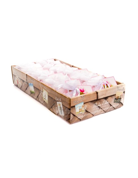 Mini Resinas White Tulip 18 un.