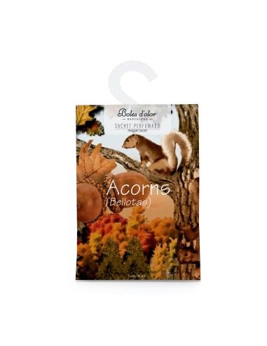 Sachet Acorns