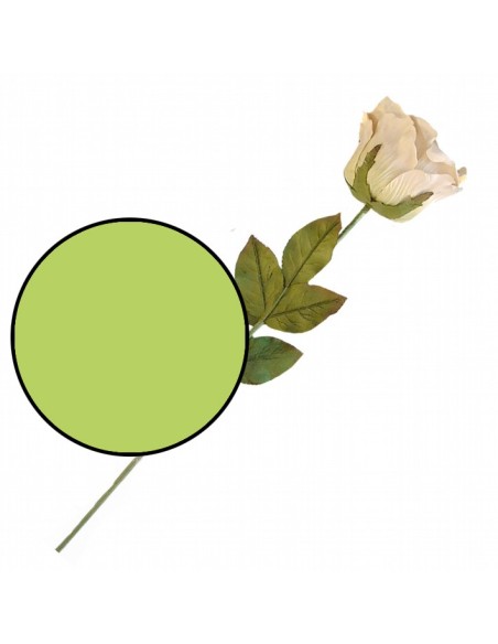Rosa Extra Verde