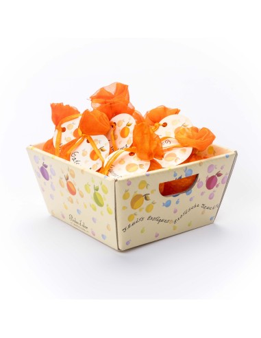 Mini Resinas Satsuma 12 und