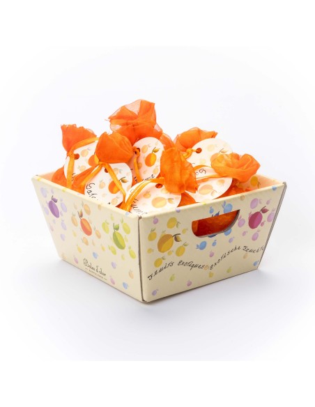 Mini Resinas Satsuma 12 und