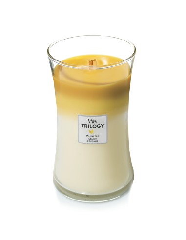 WOODWICK TRILOGY GRANDE FRUITS OF SUMMER WOODWICK TRILOGY GRANDE FRUITS OF SUMMER