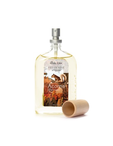 AMBIENTADOR 100 ML ACORNS