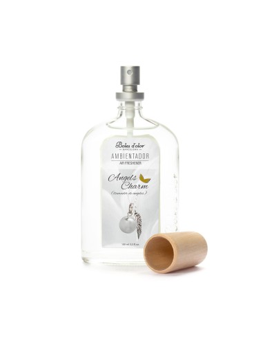 AMBIENTADOR 100 ML ANGELS CHARM