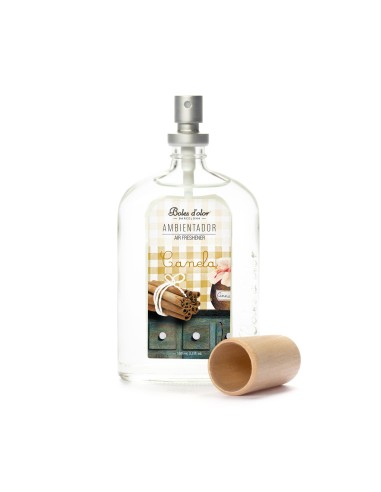 AMBIENTADOR 100 ML CANELA