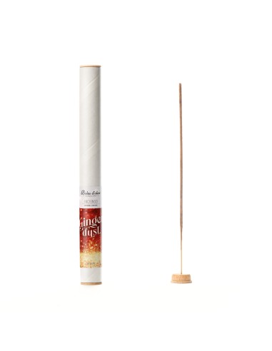 Inciensos Ambients 16 Sticks Ginger Dust