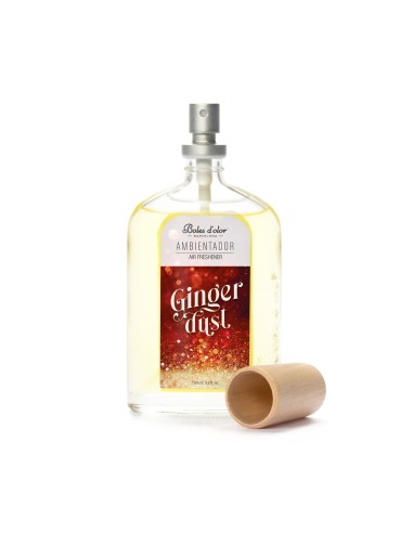 Ambientador 100 ml Ginger Dust