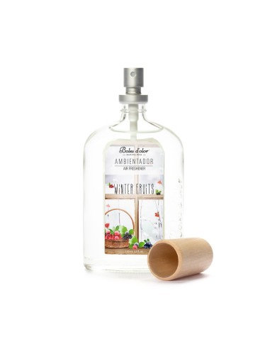 AMBIENTADOR 100 ML WINTER FRUITS