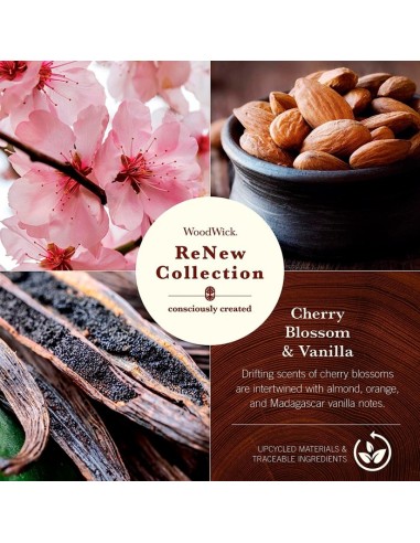 WOODWICK RENEW GRANDE CHERRY BLOSSOM... WOODWICK RENEW GRANDE CHERRY BLOSSOM...