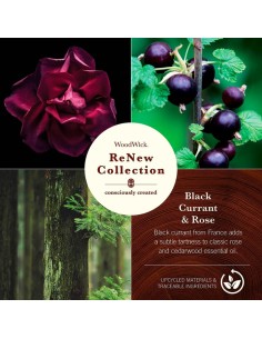 WOODWICK RENEW MEDIANO... 2