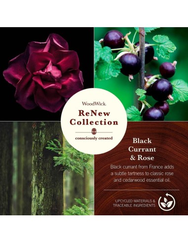 WOODWICK RENEW MEDIANO BLACK CURRANT... WOODWICK RENEW MEDIANO BLACK CURRANT...