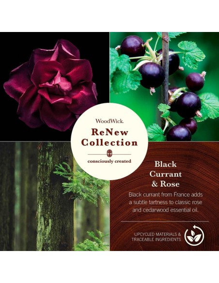 WOODWICK RENEW MEDIANO BLACK CURRANT & ROSE