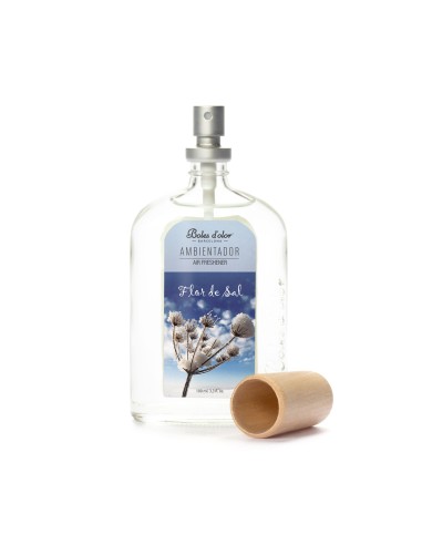 AMBIENTADOR 100 ML FLOR DE SAL