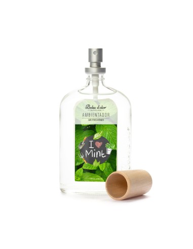 AMBIENTADOR 100 ML I LOVE MINT