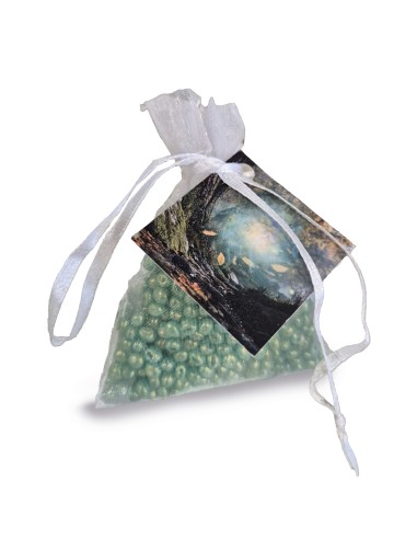 copy of Mini Resinas Scarlet Berries 18 un.