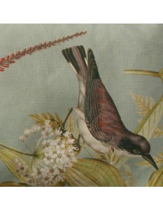 SACO SEMILLAS SUEÑO ALADO 2