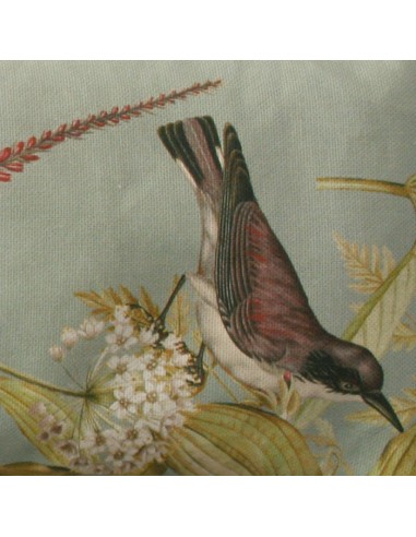 SACO SEMILLAS SUEÑO ALADO