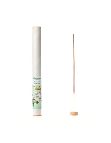 Inciensos Ambients 16 Sticks Wild Orchid