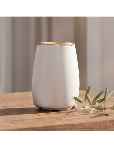 copy of Brumizador PADMA 4 und