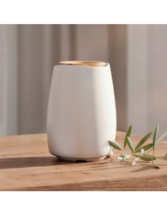 Brumizador Elysian 2