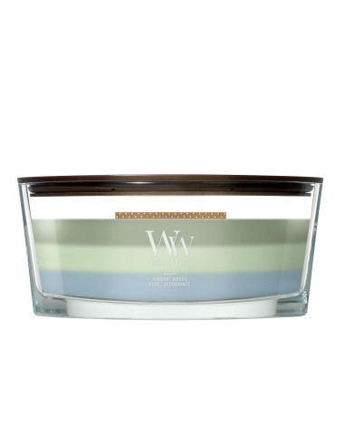 WOODWICK TRILOGY ELLIPSE VERDANT WOODS