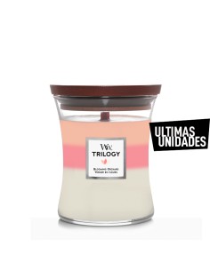 WOODWICK TRILOGY MEDIANA...